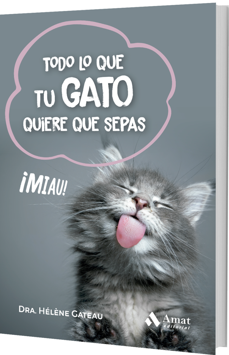 Todo lo que tu gato D