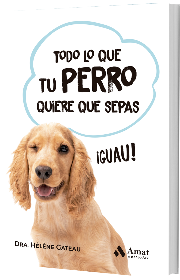 Todo lo que tu perro D