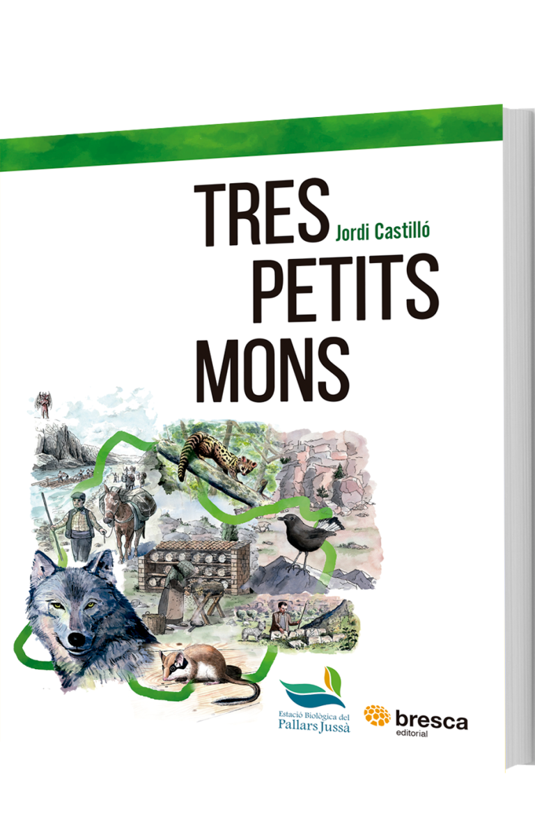 Tres petits mons D