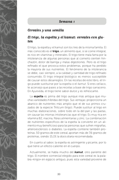 portafolio img